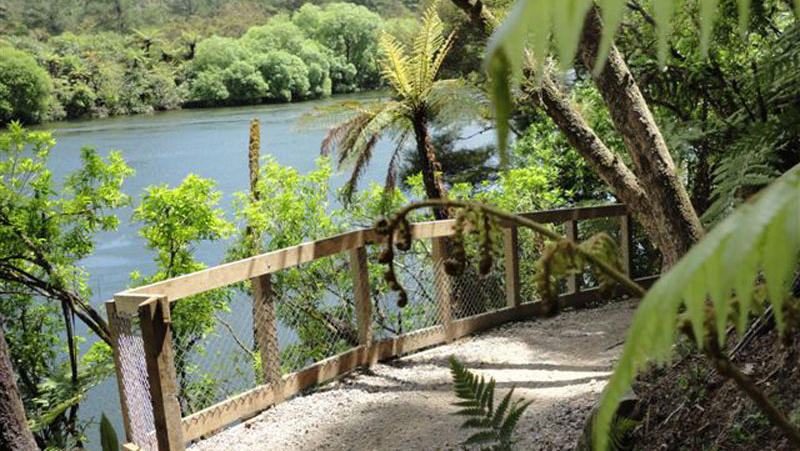 waikato-river-trails (1)